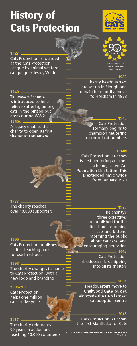 Our history